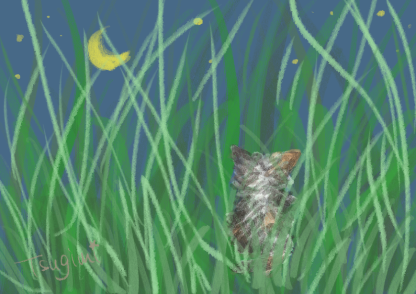 草むらから月を見る三毛猫のイラスト