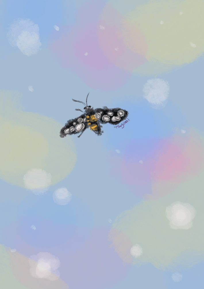 水玉模様の蛾が飛ぶパステル調のイラスト