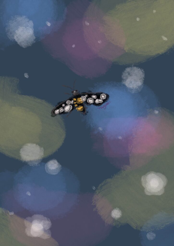 水玉模様の蛾のイラスト